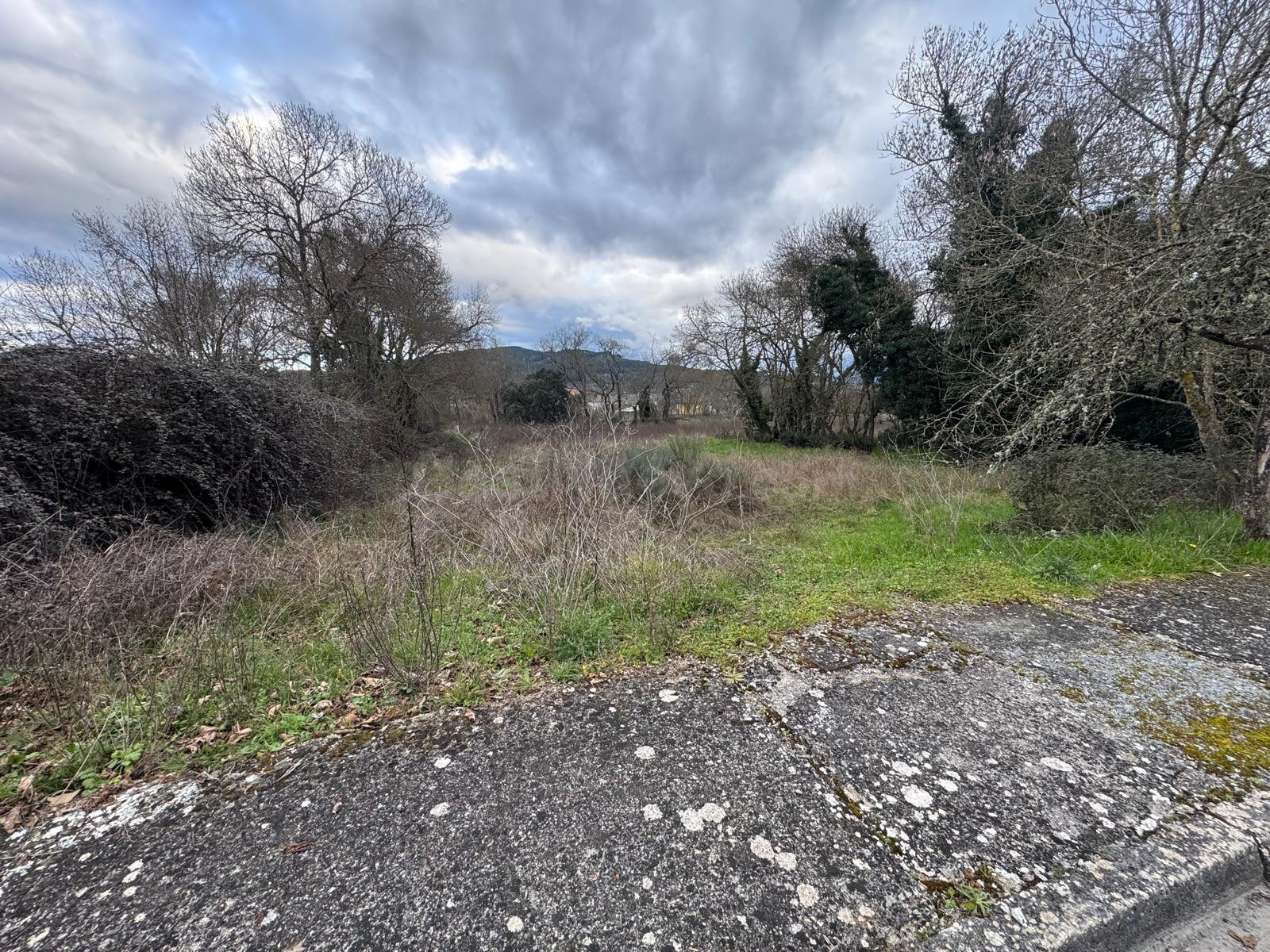 SE VENDE SOLAR DE 1700M2 EN CABAÑAS DE LA DORMILLA - foto 4