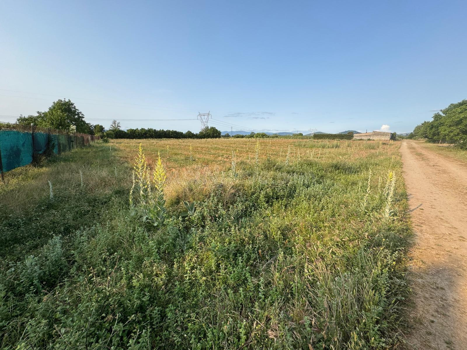 SE VENDE FINCA RUSTICA EN LAS CHANAS DE CAMPONARAYA - foto 3