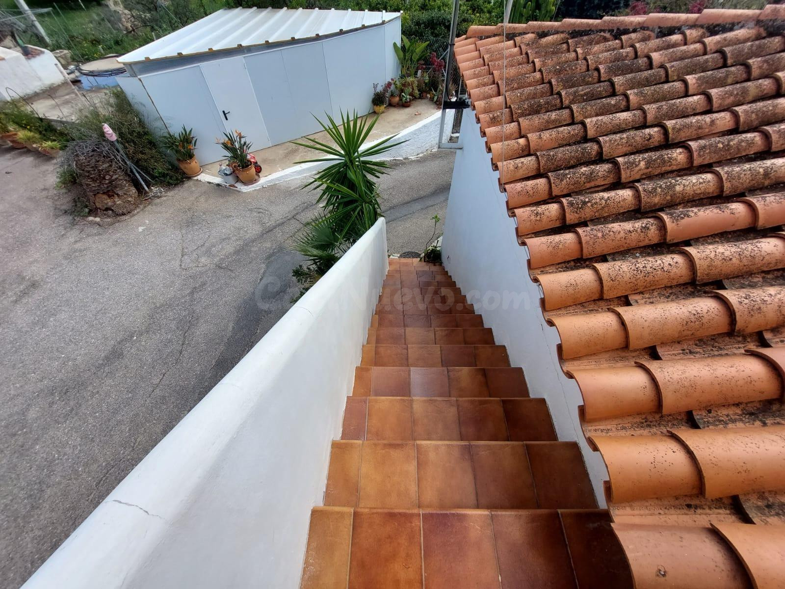 Casa de Campo, 4 habitaciones, terreno arboles frutales en T - foto 4