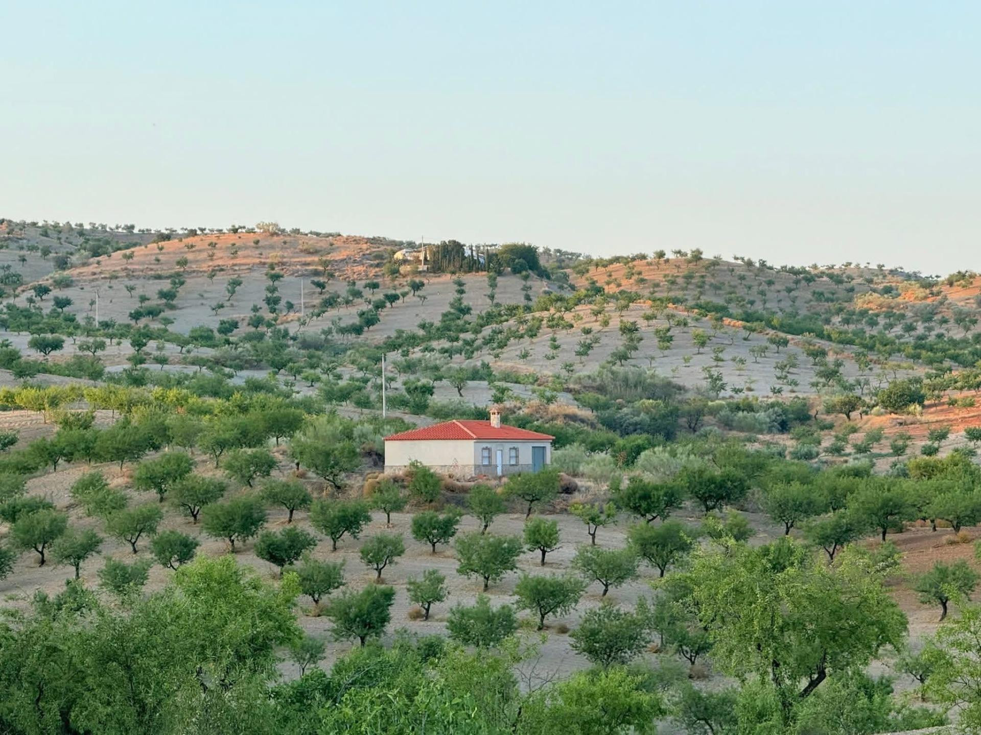 Casa de campo de 100 m2 con 5 hectáreas de terreno en El Mad