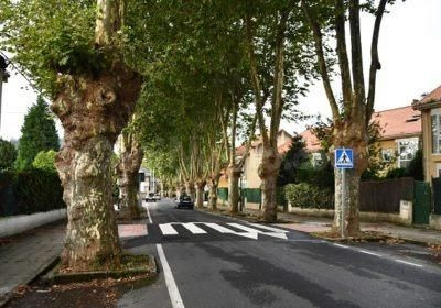 FINCA 740m2 en el centro de Cambre