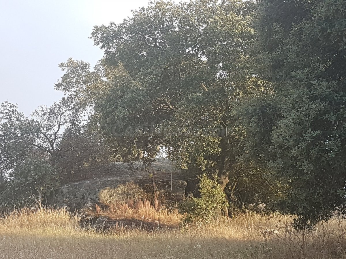 Terreno rural en venta - Alrededores