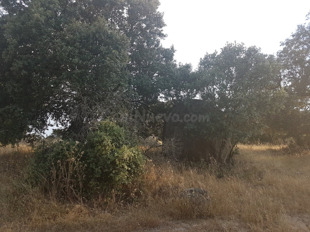 Terreno rural en venta - Alrededores - foto 2