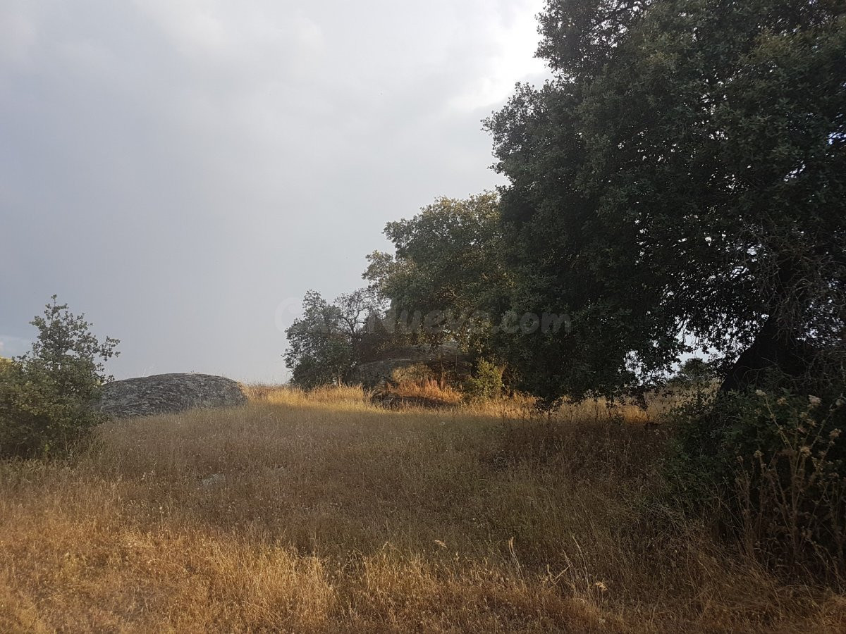 Terreno rural en venta - Alrededores - foto 3