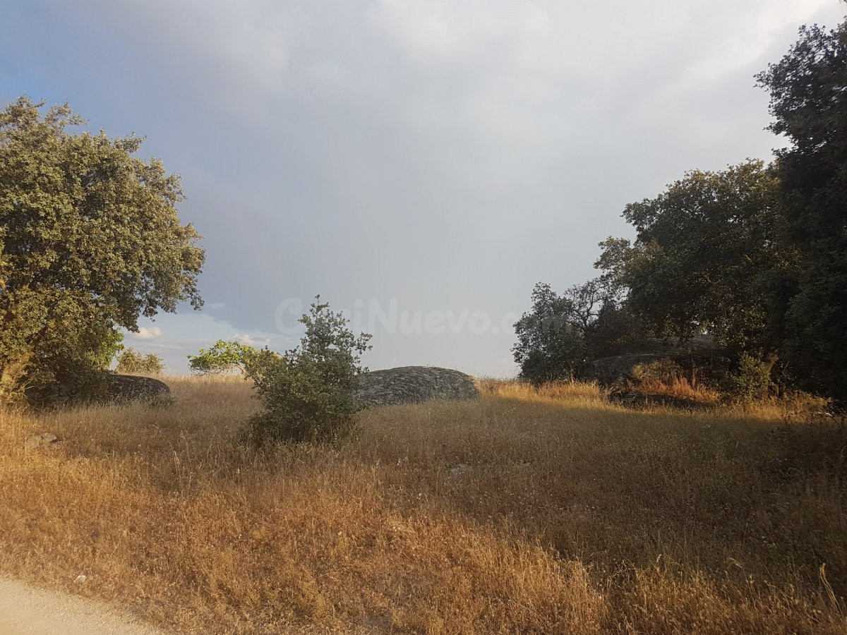 Terreno rural en venta - Alrededores - foto 4