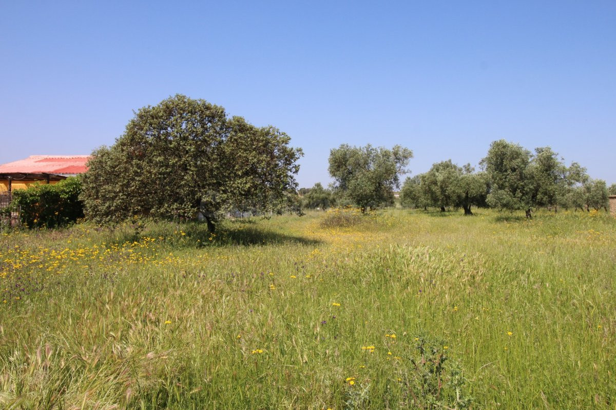 Terreno rural en venta - Alrededores - foto 2