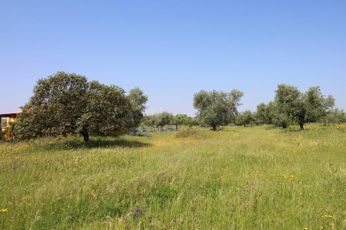 Terreno rural en venta - Alrededores - foto 3