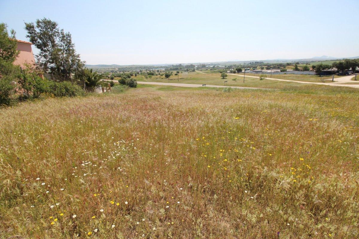 Terreno rural en venta - Alrededores - foto 2