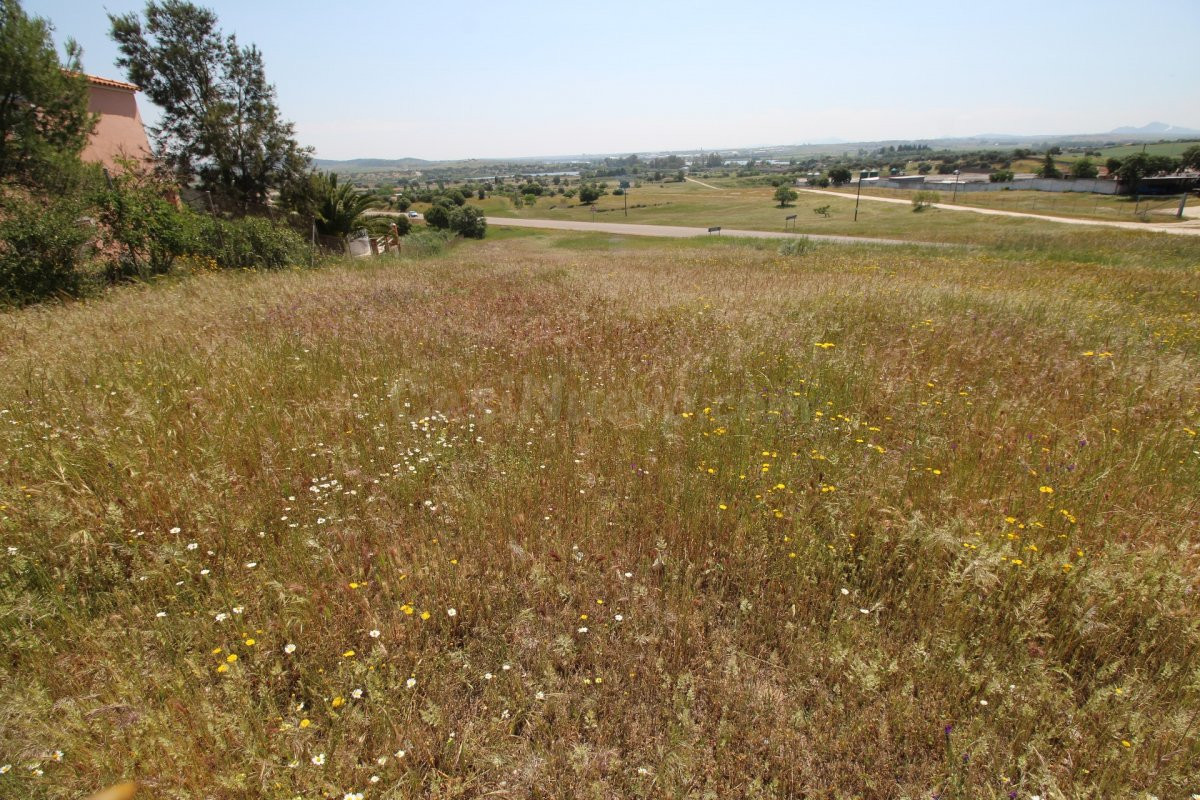 Terreno rural en venta - Alrededores - foto 3