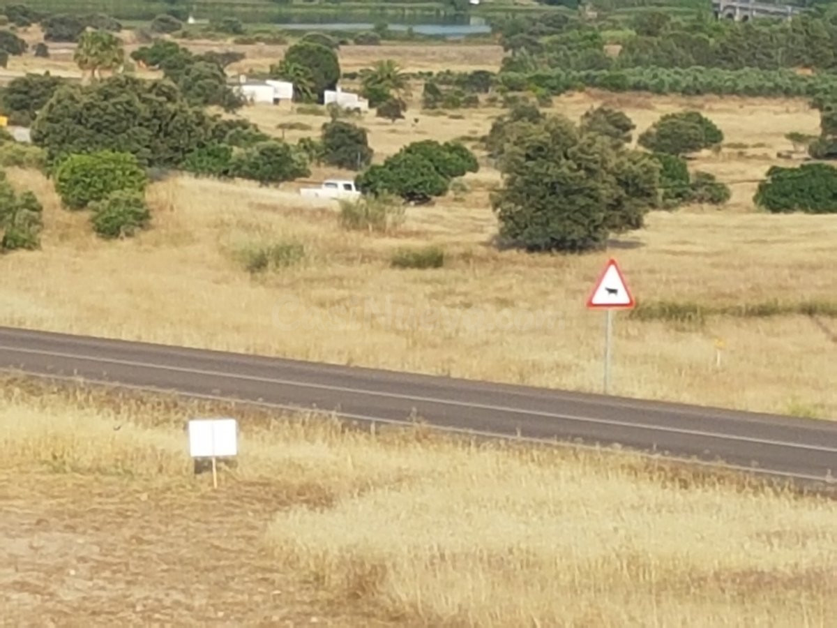 Terreno rural en venta - Alrededores - foto 5