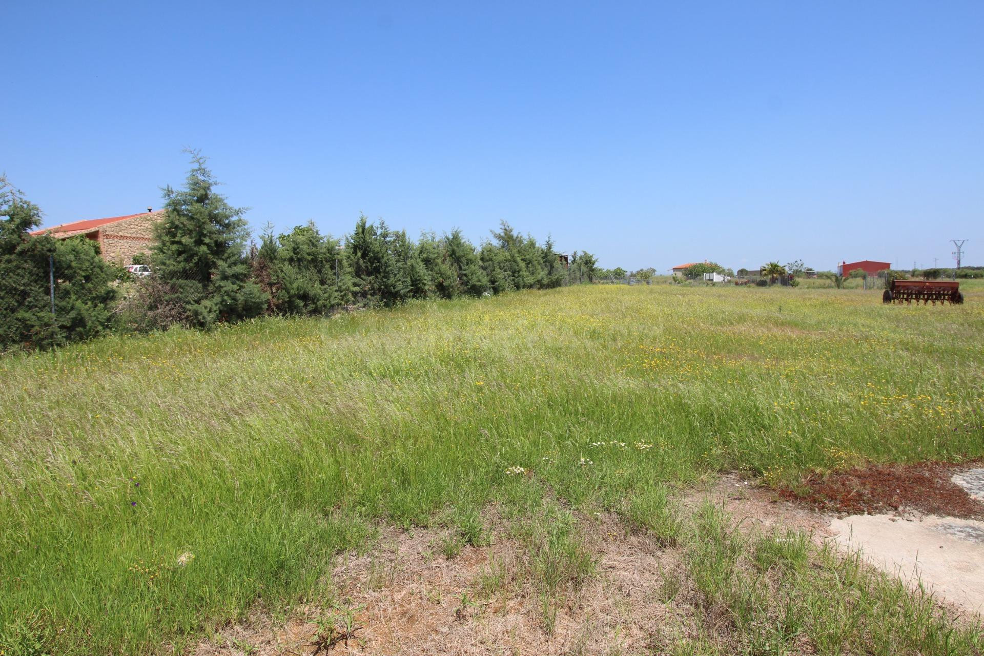 Terreno rural en venta - Alrededores - foto 3