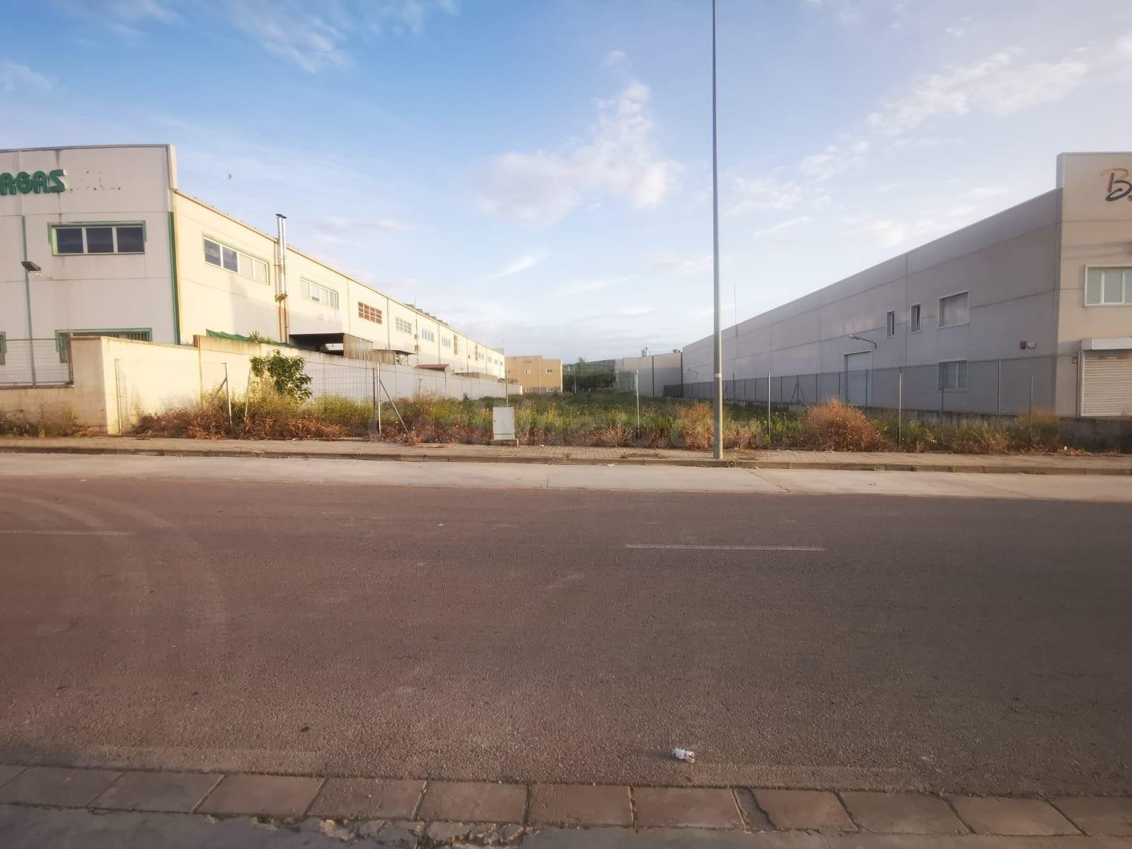 MAGNIFICA PARCELA INDUSTRIAL EN LUCENA - foto 2