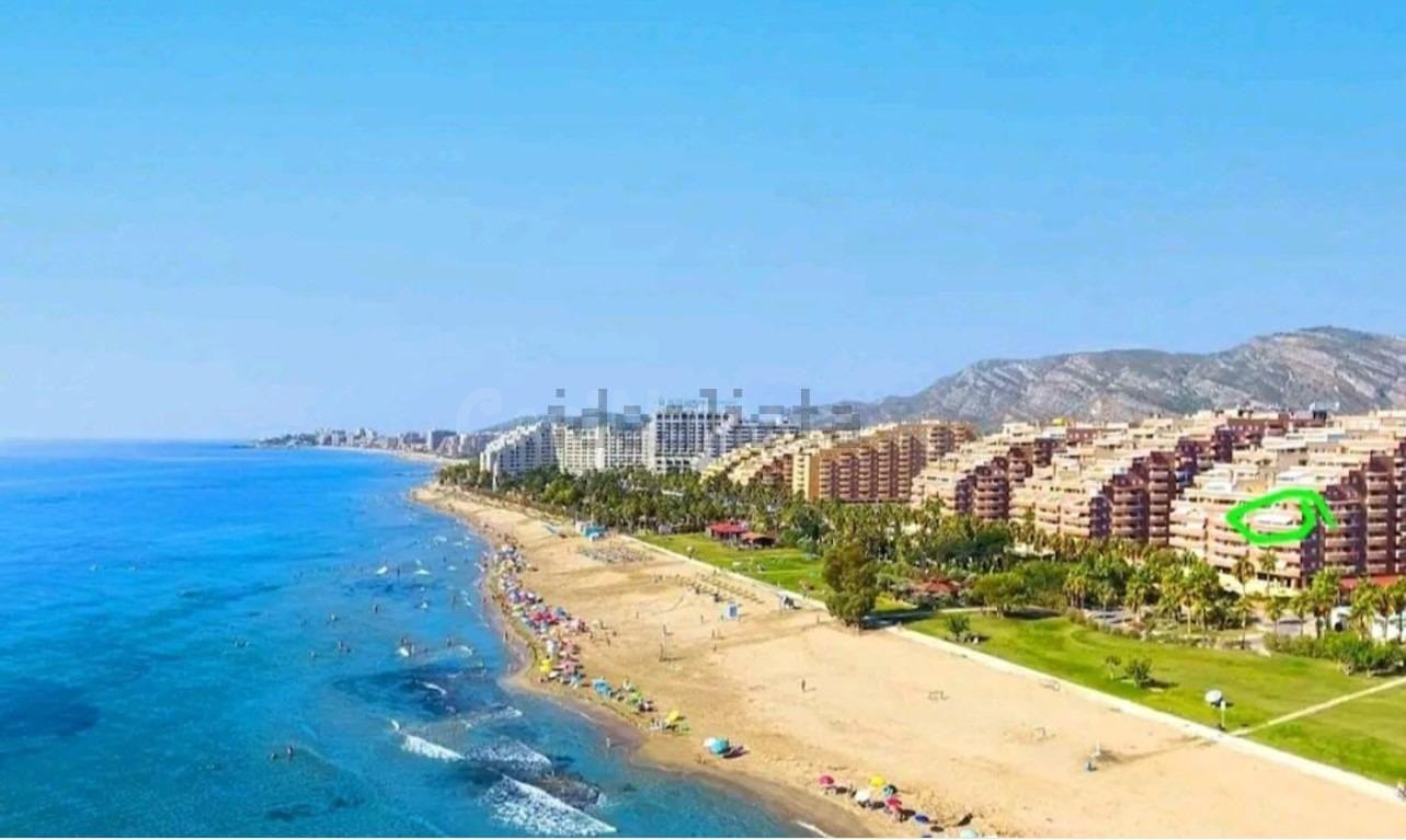 Piso con terraza en primera linea de playa