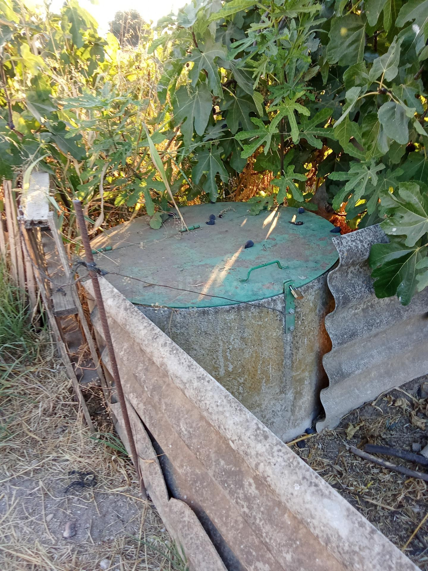 Terreno de regadío en venta para uso agrario - foto 2