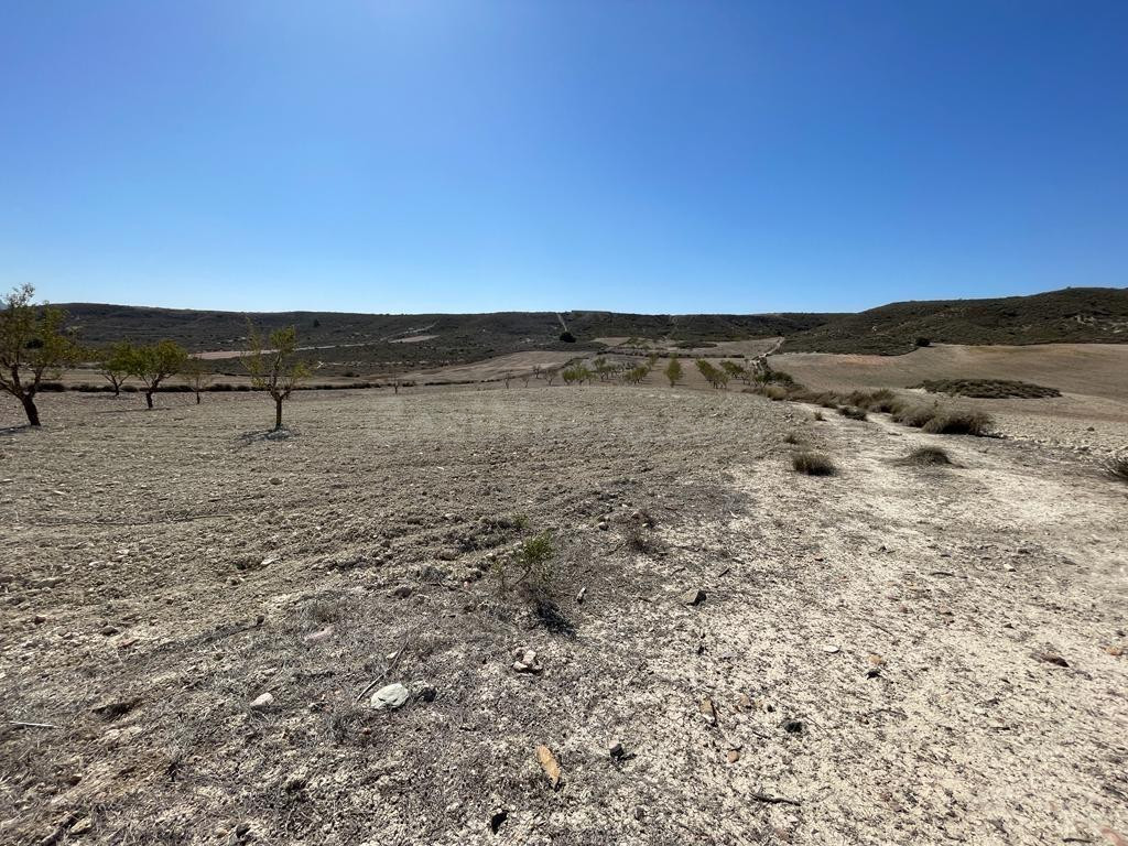 TERRENO RURAL EN VENTA EN MAZARRON - foto 3