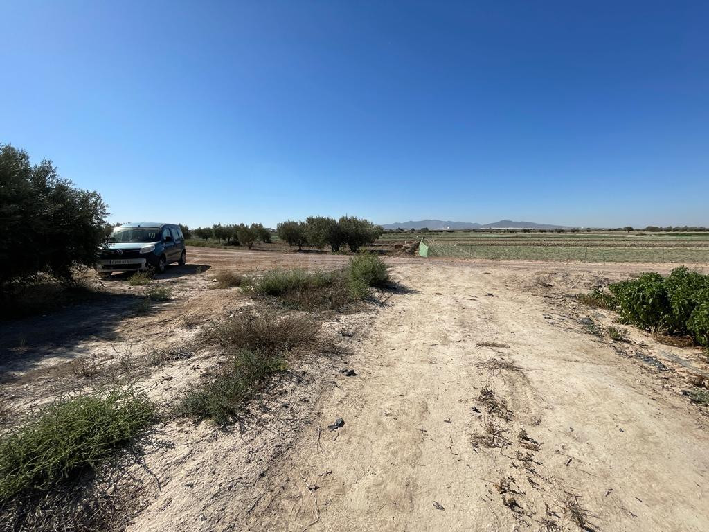 TERRENO RURAL EN VENTA EN MAZARRON - foto 4