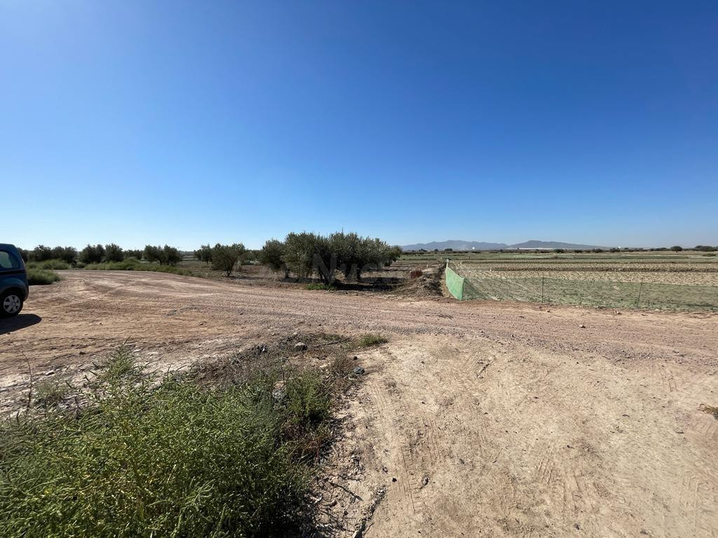 TERRENO RURAL EN VENTA EN MAZARRON - foto 5