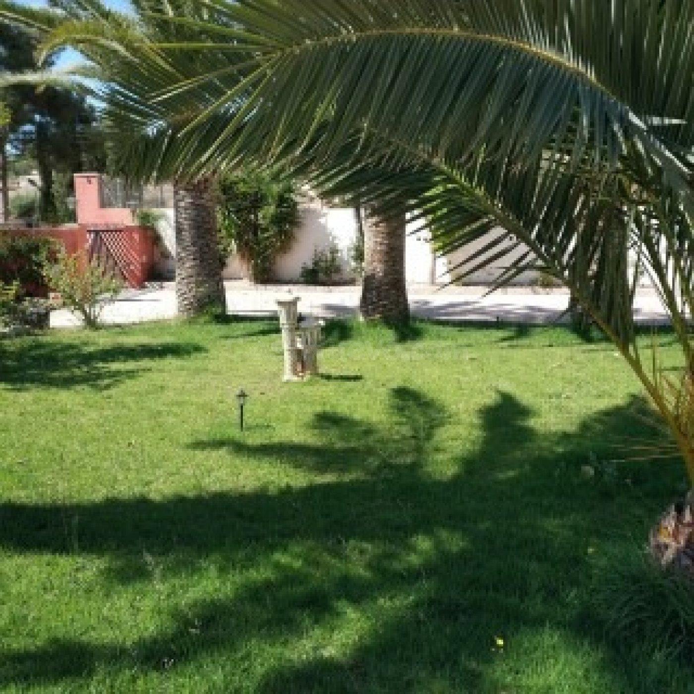 Chalet cerca de Novelda - foto 2
