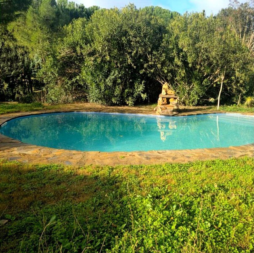 LUMINOSA CASA CON BUHARDILLA EN PARCELA DE 5000m2 (DEHESA MALASARADAS)
