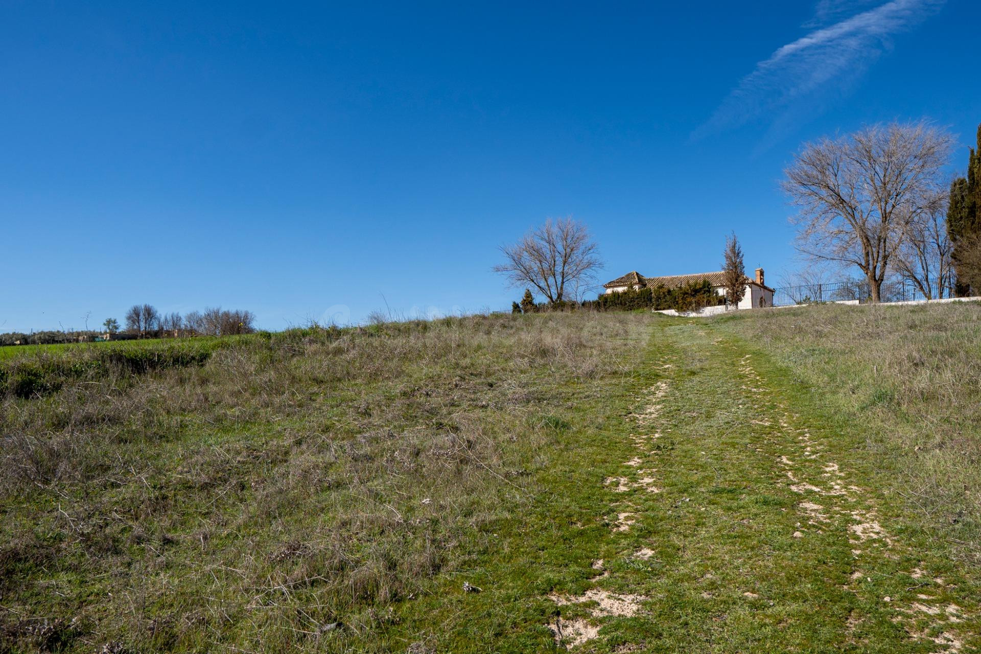 Terreno urbano en venta - Guadahortuna - foto 5