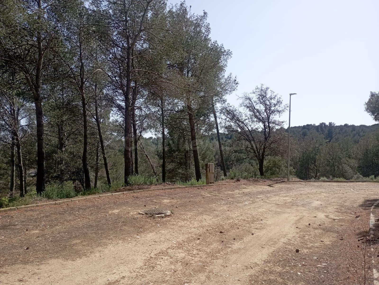 OPORTUNIDAD! Tres Terrenos Urbanizables unidos en Riudecanye - foto 2