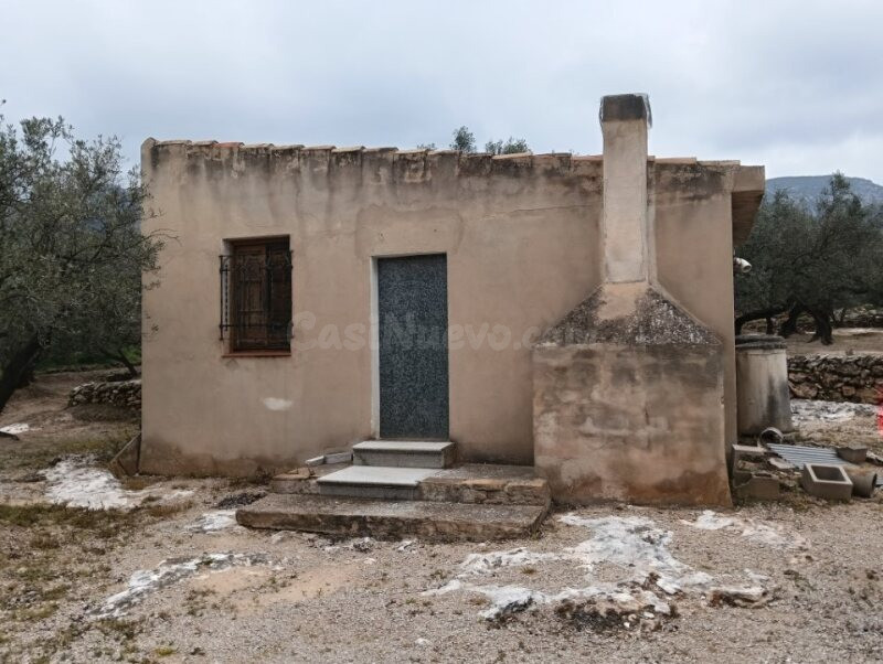 FINCA DE OLIVOS