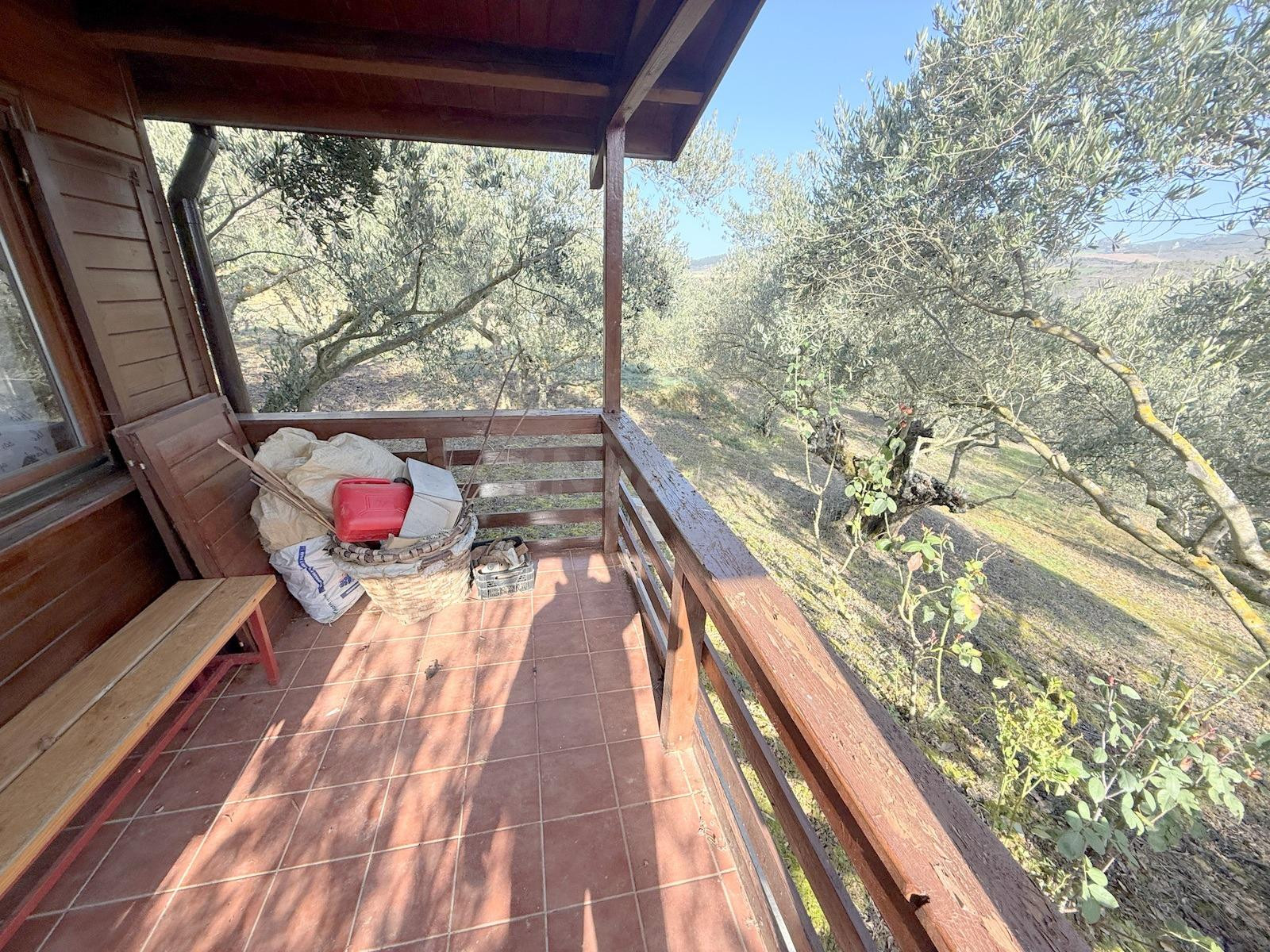 Finca rustica en Cirauqui - foto 2
