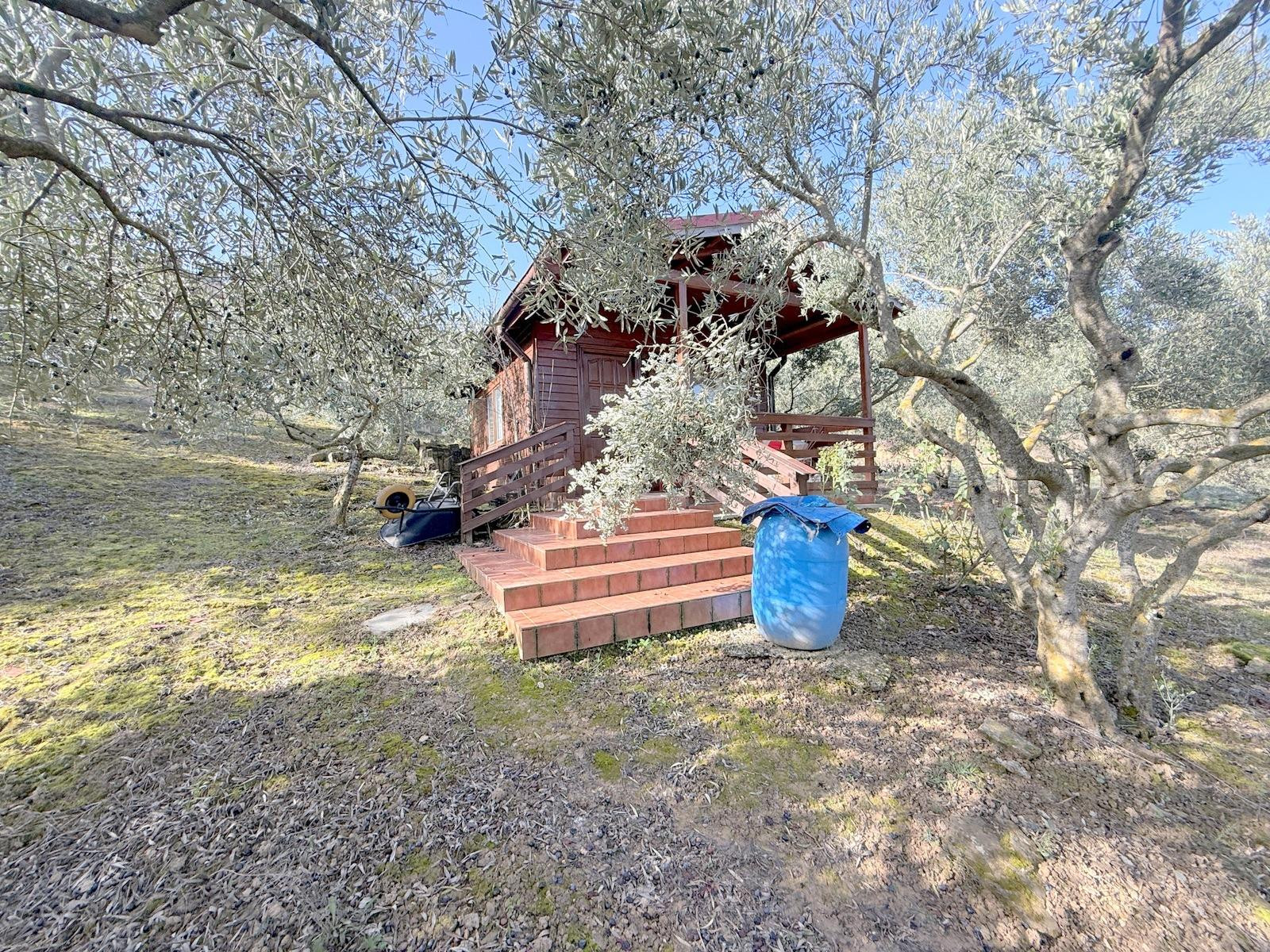 Finca rustica en Cirauqui - foto 5