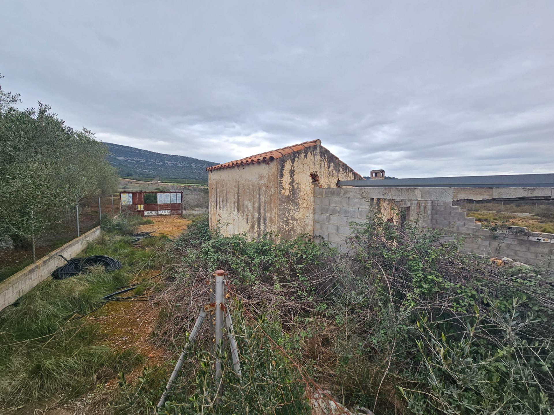 FINCA DE 5 HA EN FREGINALS CON CASA