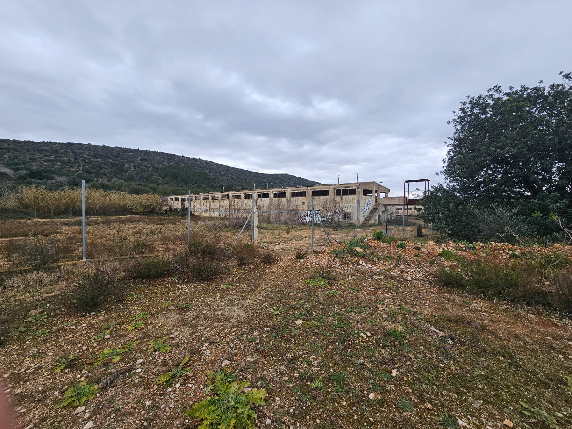 ANTIGUAS NAVES DE CERDOS EN VENTA