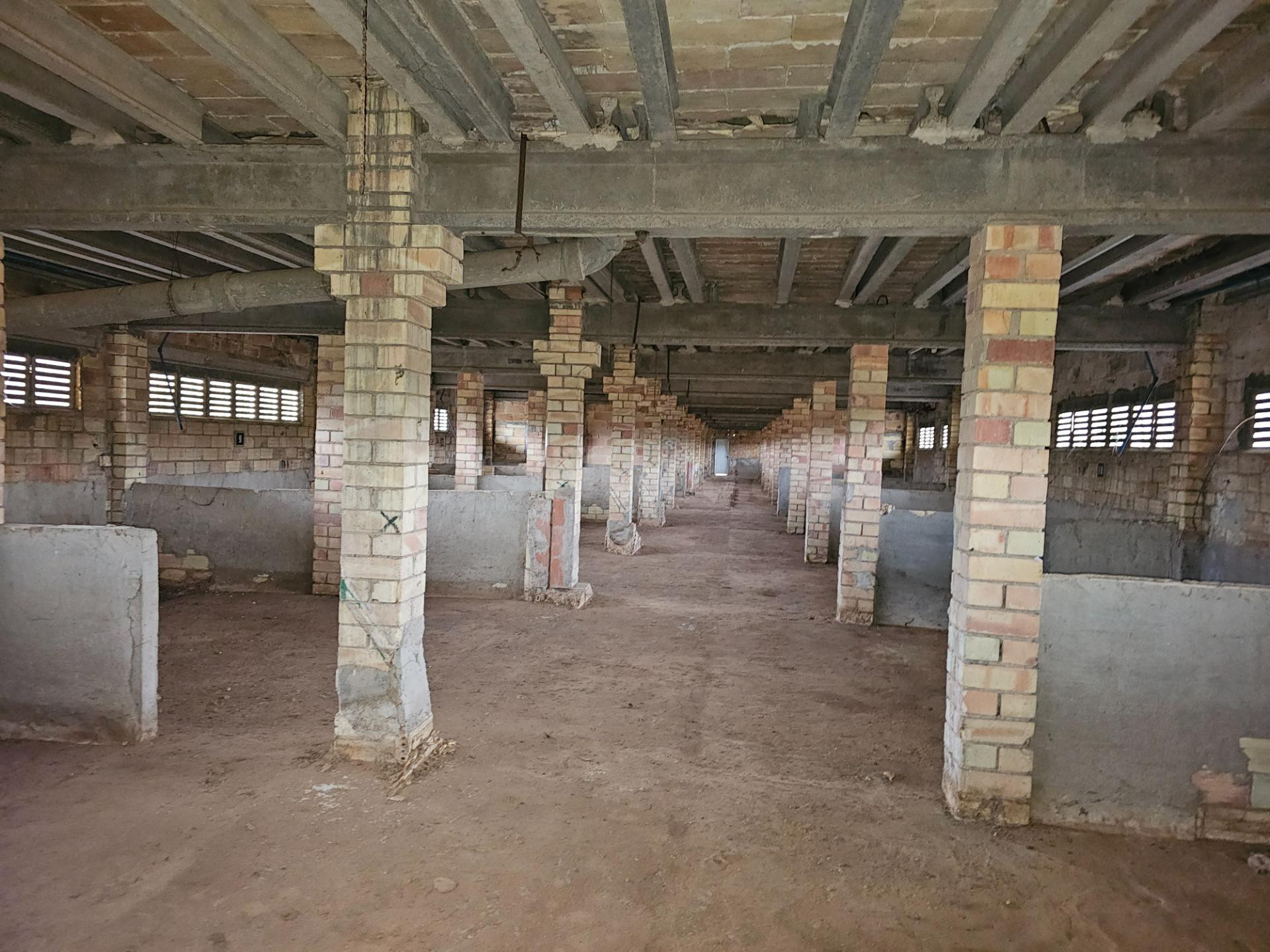 ANTIGUAS NAVES DE CERDOS EN VENTA - foto 4