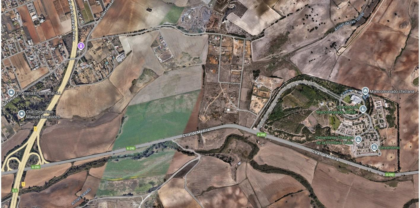 TERRENO DE DIEZ ARANZADAS DE TIERRA - foto 2