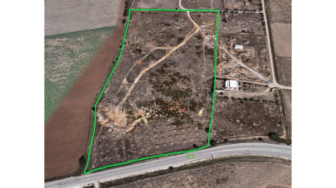 TERRENO DE DIEZ ARANZADAS DE TIERRA - foto 3