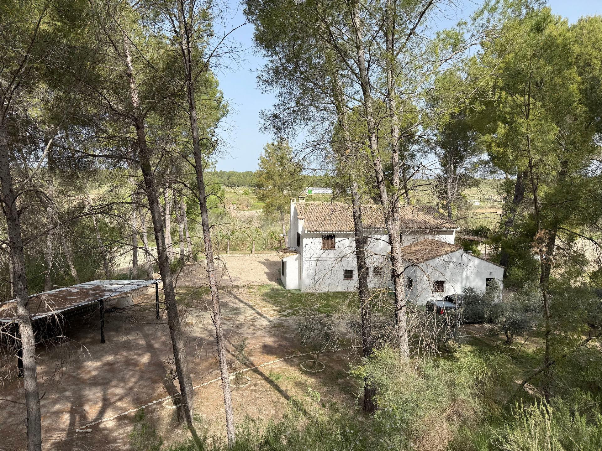 Finca en Calasparra - foto 2