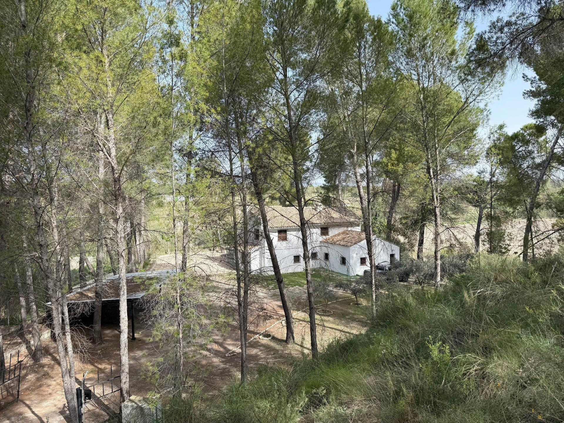 Finca en Calasparra - foto 3
