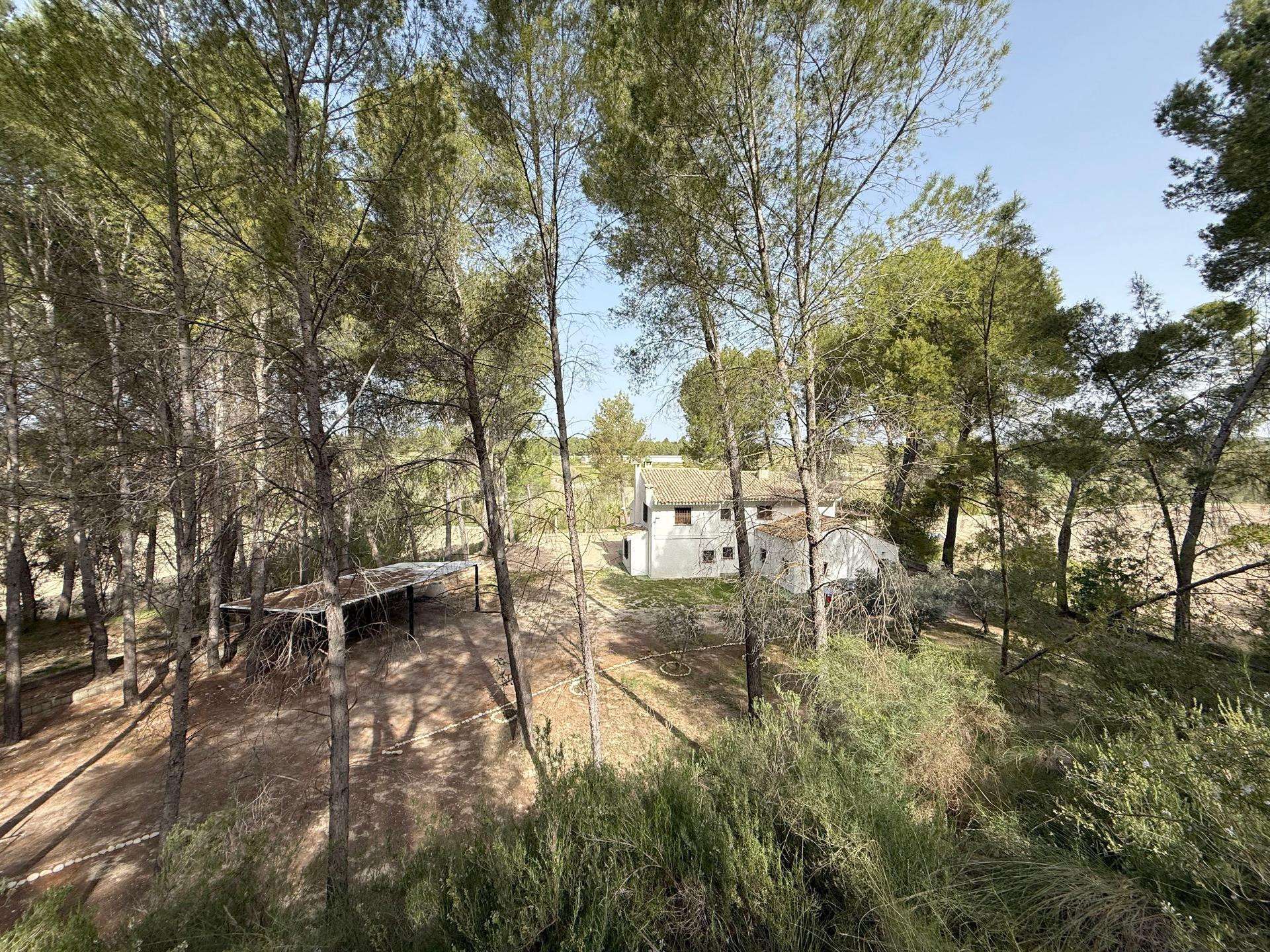 Finca en Calasparra - foto 4
