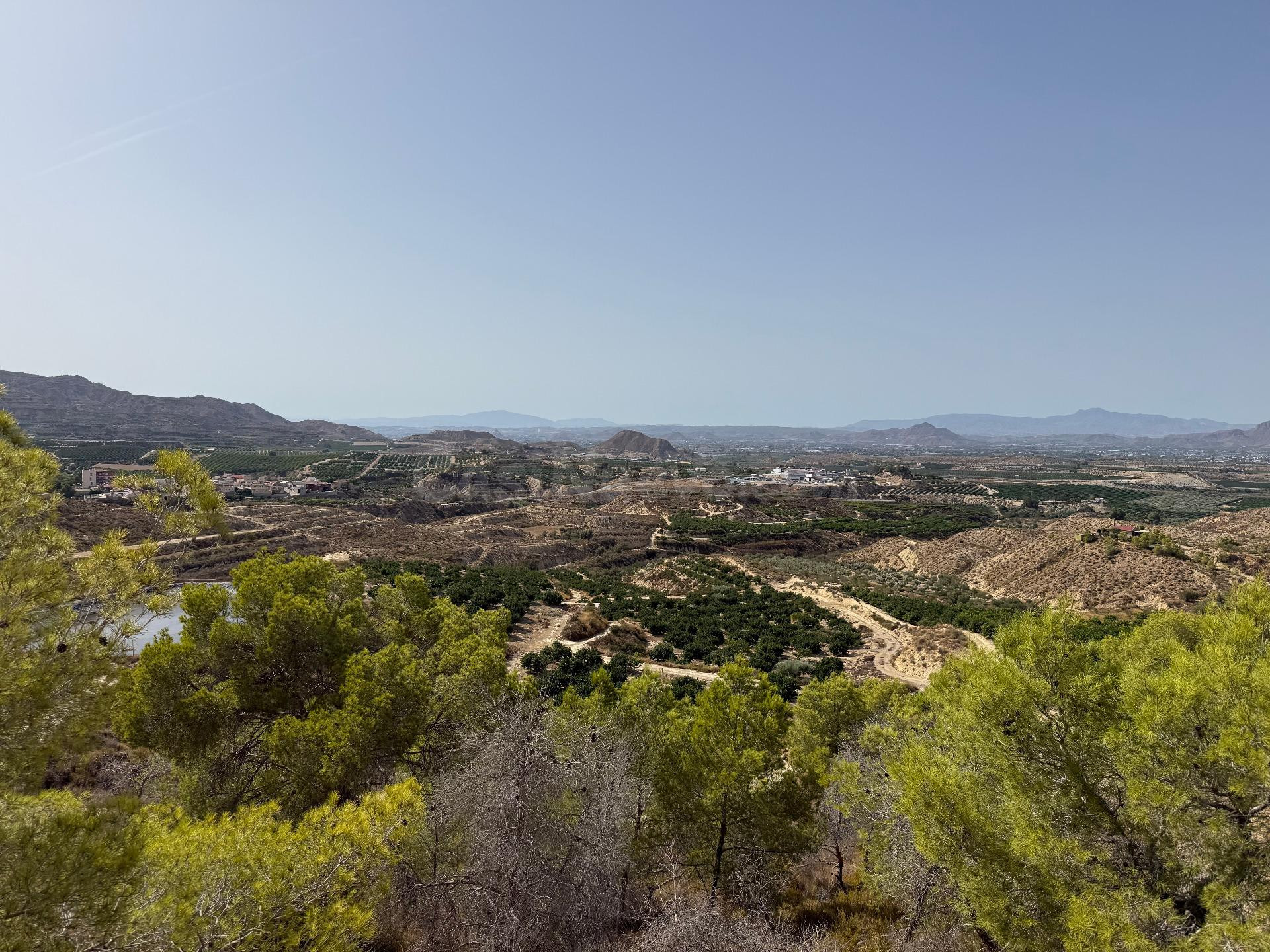 OFH-343 La Pinada, Cañadas de San Pedro - foto 2