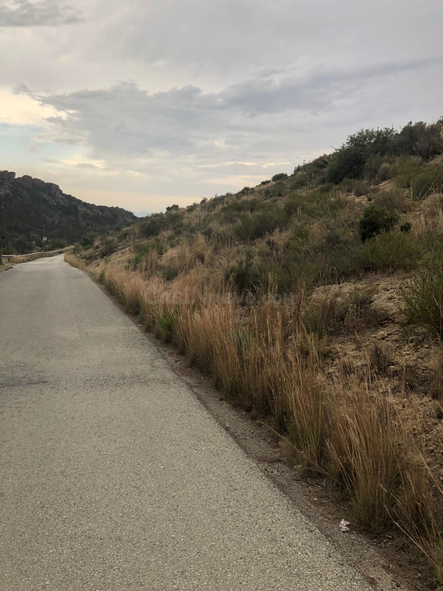 TERRENO EN LA MONTAÑA DE CREVILLENTE - foto 2