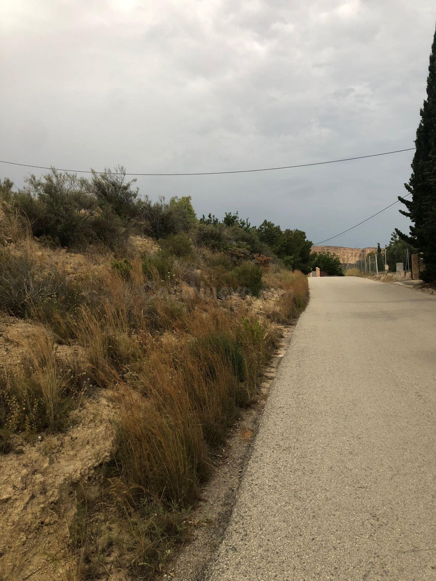 TERRENO EN LA MONTAÑA DE CREVILLENTE - foto 3