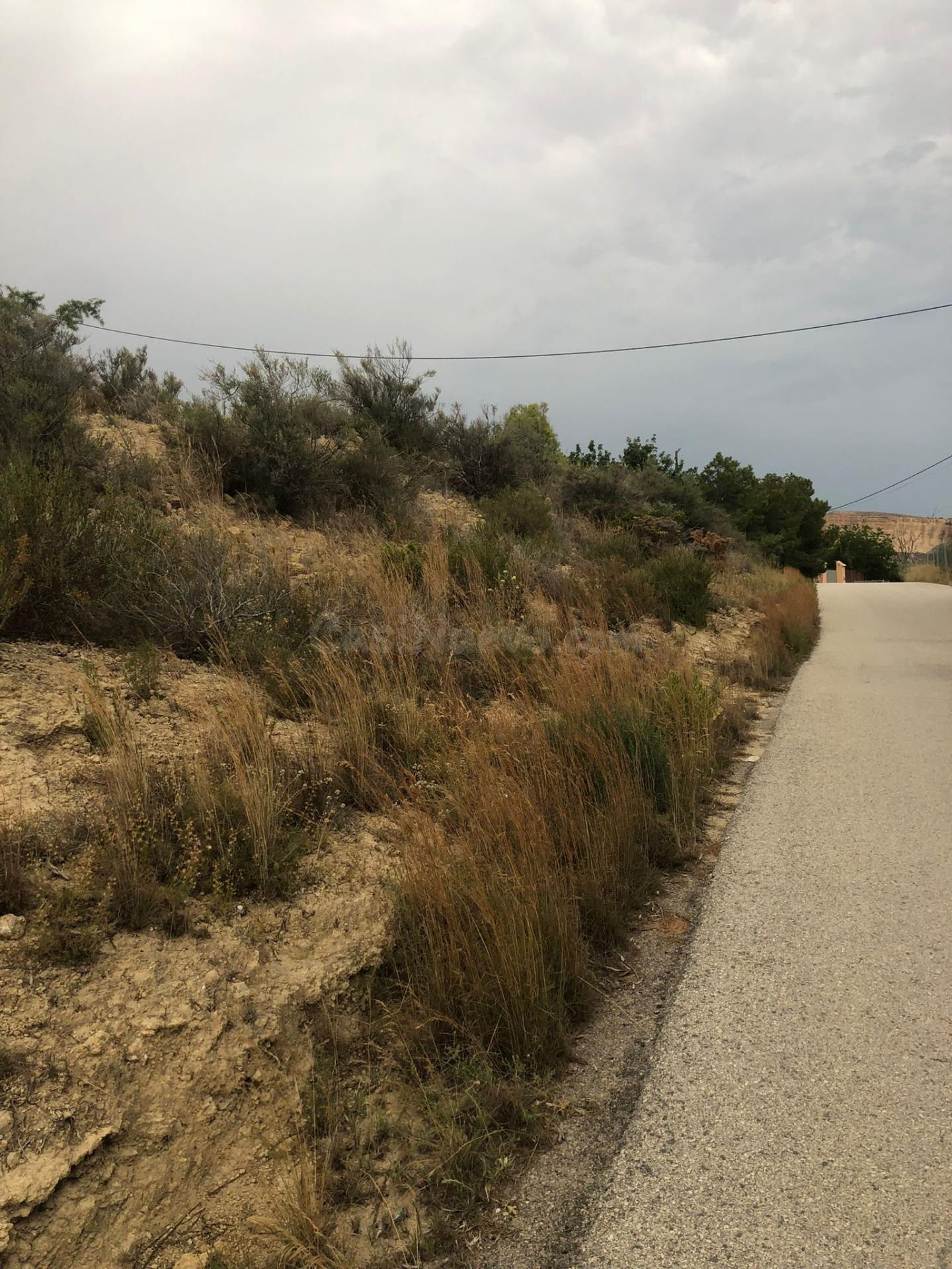 TERRENO EN LA MONTAÑA DE CREVILLENTE - foto 4