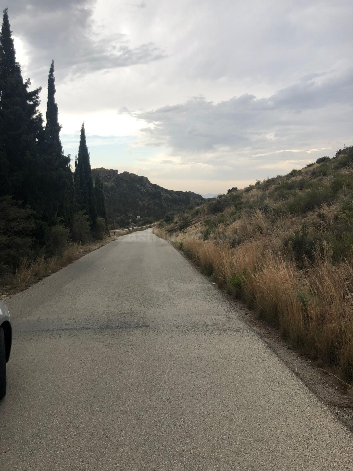 TERRENO EN LA MONTAÑA DE CREVILLENTE - foto 5