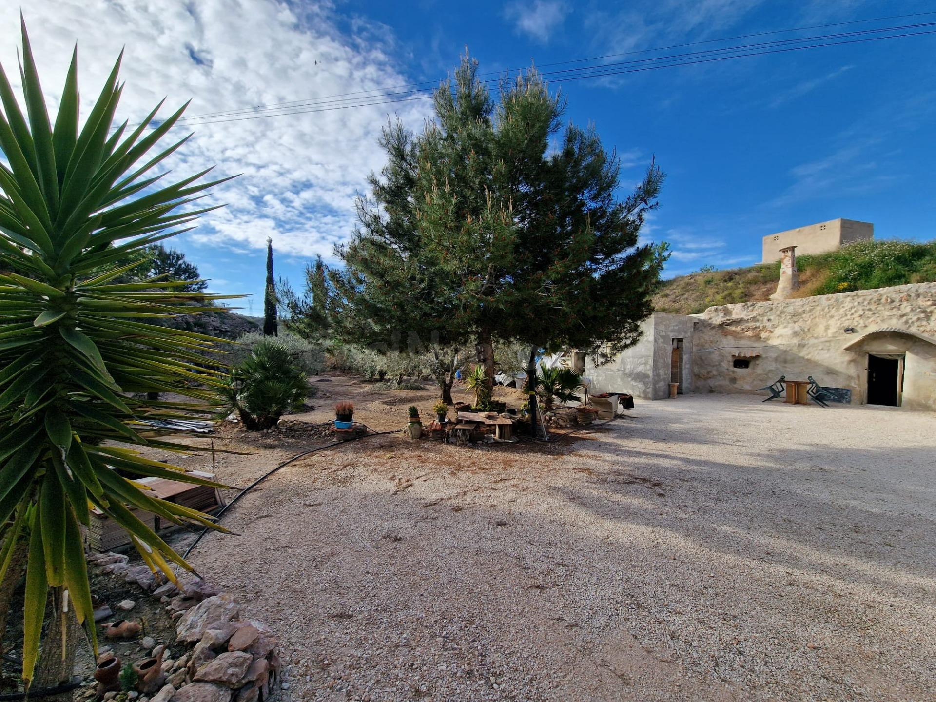 TERRENO CON CASA - CUEVA EN EL HONDON DE LAS NIEVES