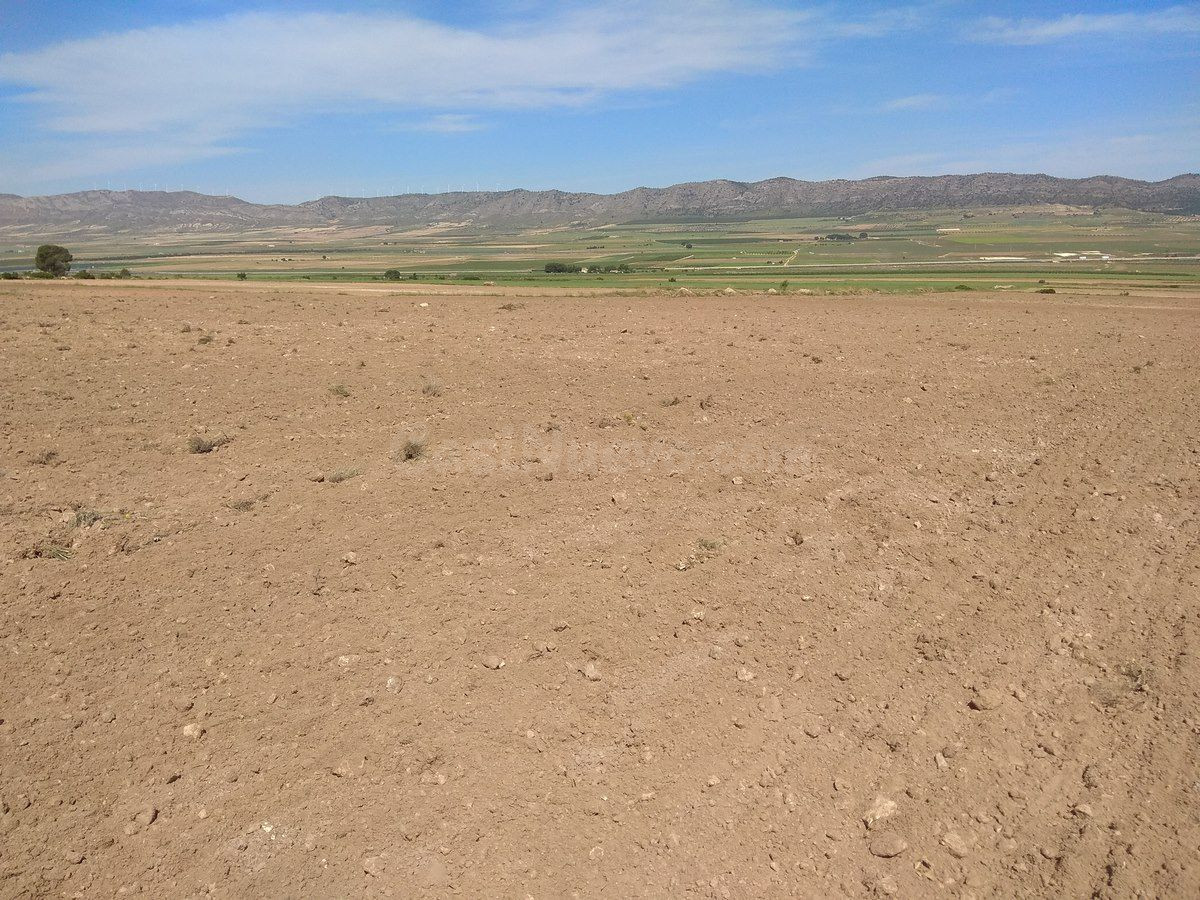 Parcela en venta - Ayuntamiento - foto 2