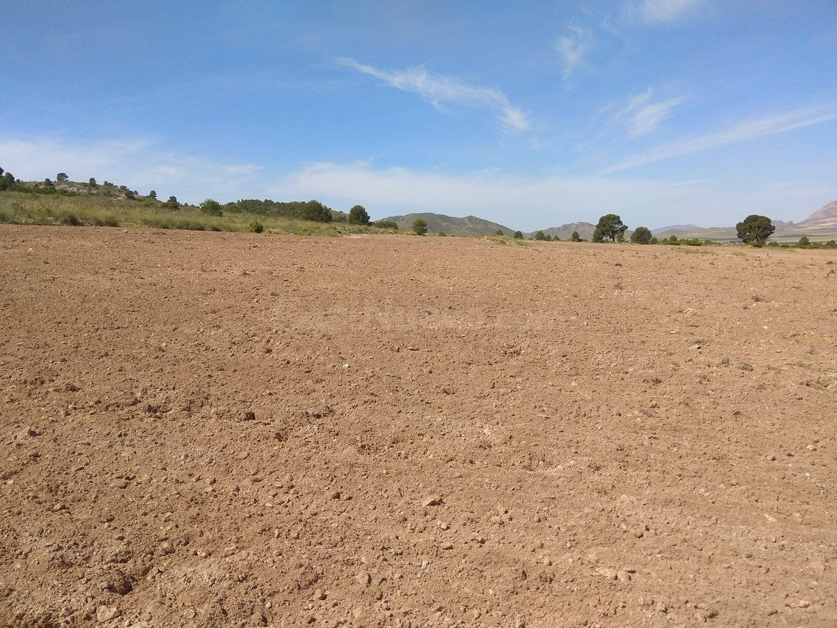 Parcela en venta - Ayuntamiento - foto 4