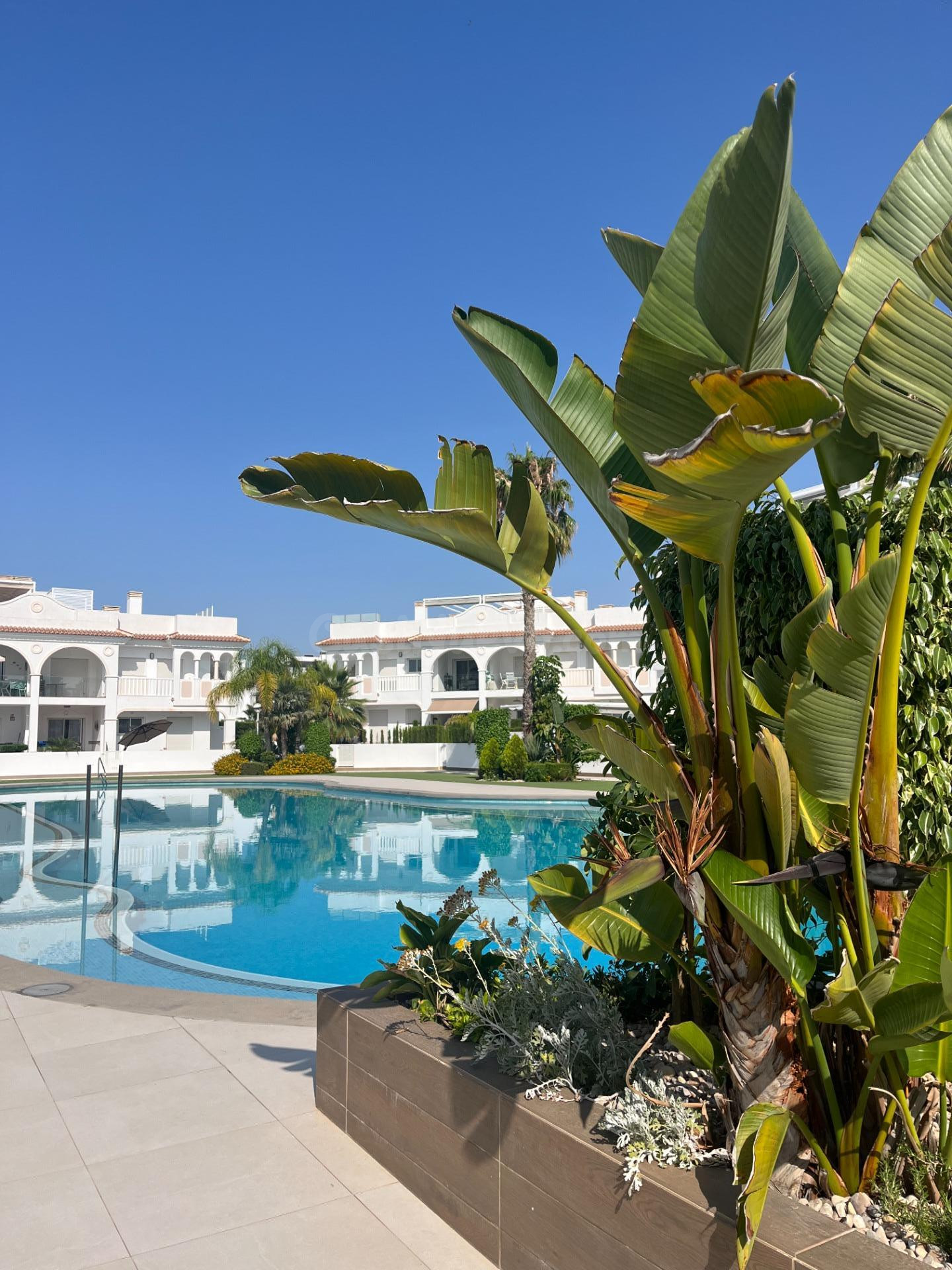 PRECIOSA VIVIENDA EN PLANTA BAJA CON JARDÍN Y PISCINA COMUNITARIA