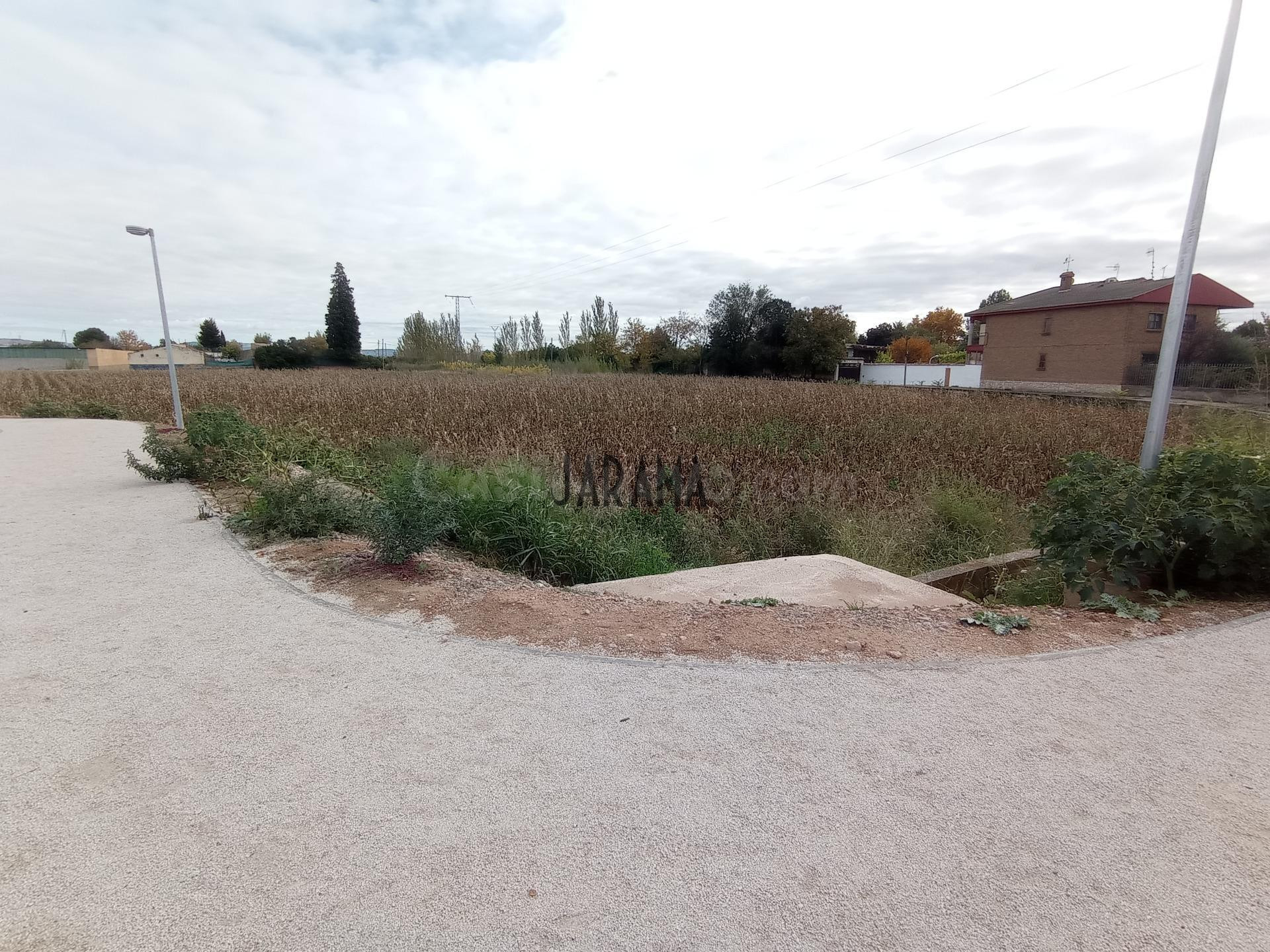TERRENO RUSTICO A LA VENTA EN AVENIDA TUDELA FONTELLAS - foto 2