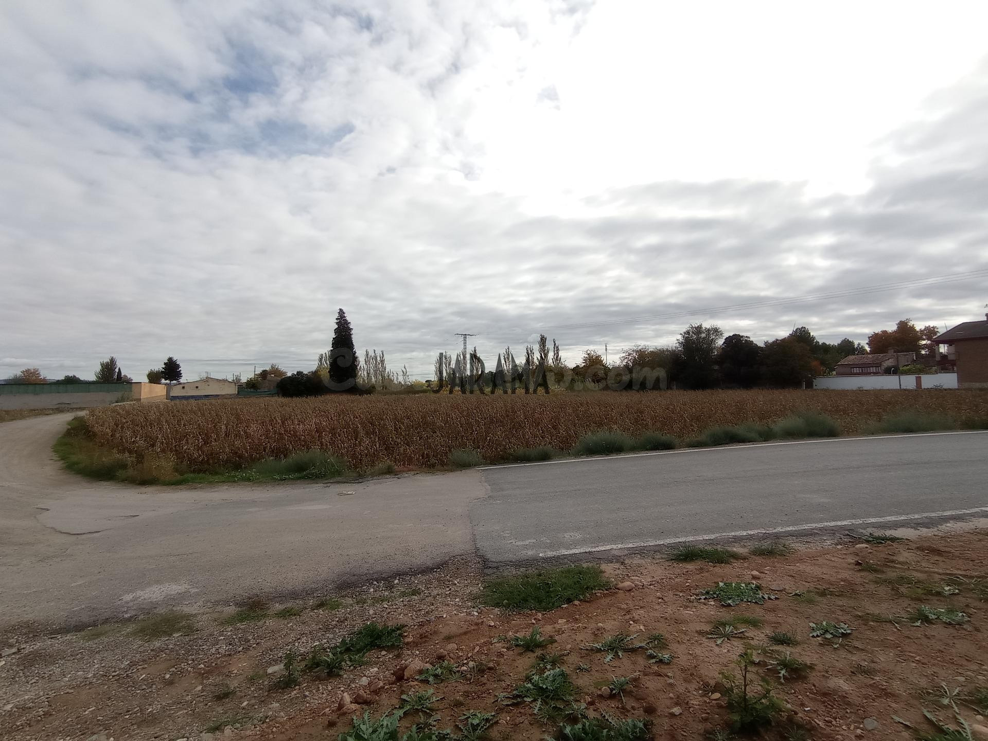 TERRENO RUSTICO A LA VENTA EN AVENIDA TUDELA FONTELLAS - foto 3