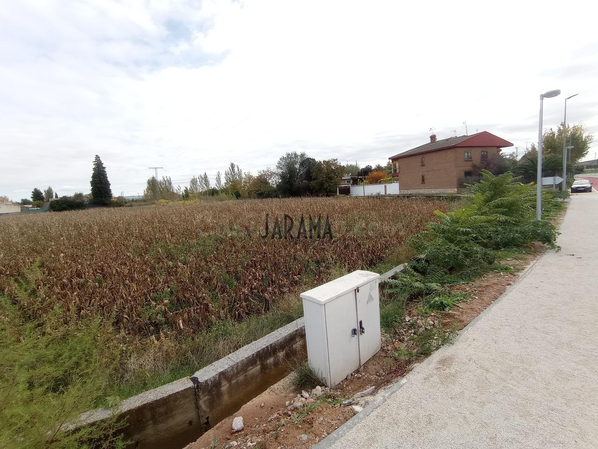 TERRENO RUSTICO A LA VENTA EN AVENIDA TUDELA FONTELLAS - foto 4