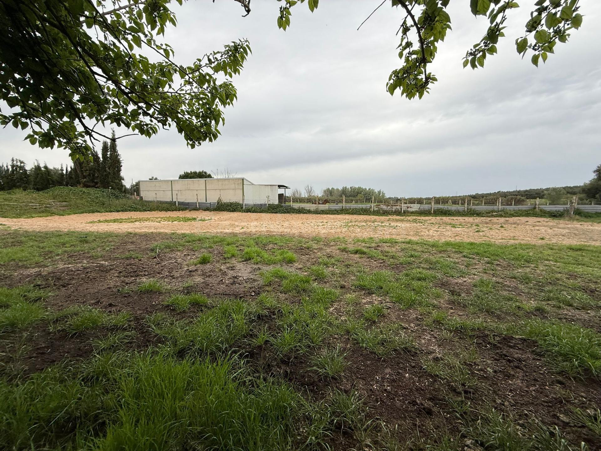 Terreno rural 284m² en venta - Andalucia - foto 4