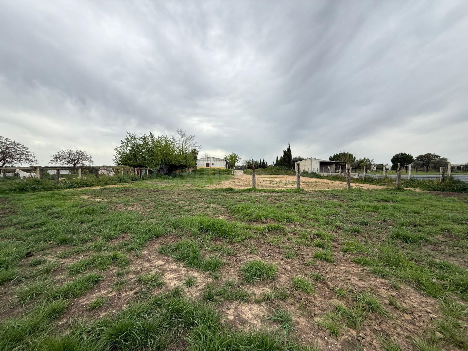 Terreno rural 284m² en venta - Andalucia - foto 5